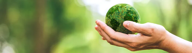 A green representation of enviremental resposibility and energy savings.