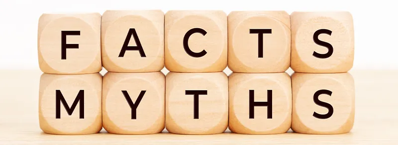 Blocks that spell facts and myths